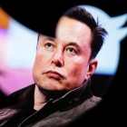 Vor Bundestagswahlen: Elon Musk sieht AfD als "einzige Rettung"