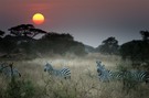 Amboseli Sunset