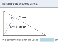 Flächeninhalt - Parallelogramm, Dreieck und Trapez