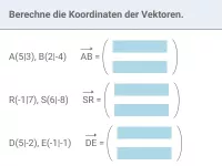 Vektoren (zweidimensional)