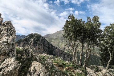 Geheimtipp: Sizilien für Naturliebhaber