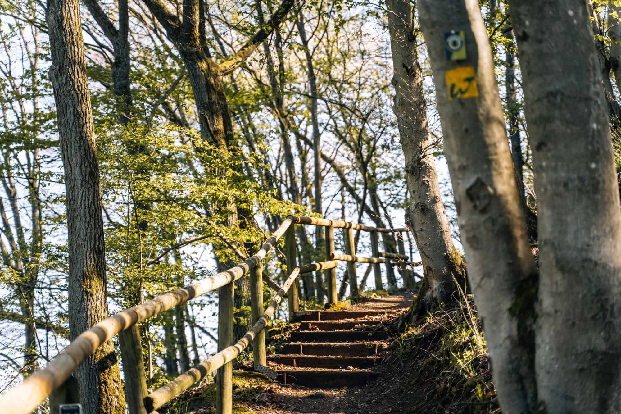 Wäller Pfoten Pfade & mehr: Wanderauszeit (mit Hund) im südlichen Westerwald im Hotel und Restaurant Freimühle