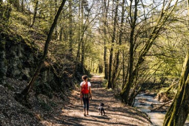 Wäller Pfoten Pfade & mehr: Wanderauszeit (mit Hund) im südlichen Westerwald im Hotel und Restaurant Freimühle