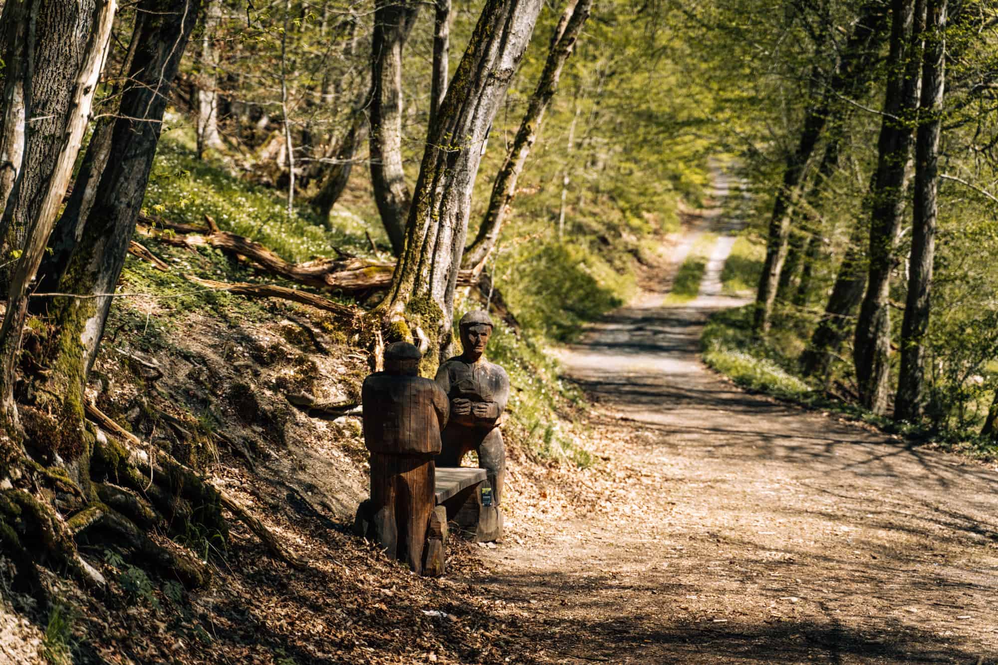 Wäller Pfoten Pfade & mehr: Wanderauszeit (mit Hund) im südlichen Westerwald im Hotel und Restaurant Freimühle