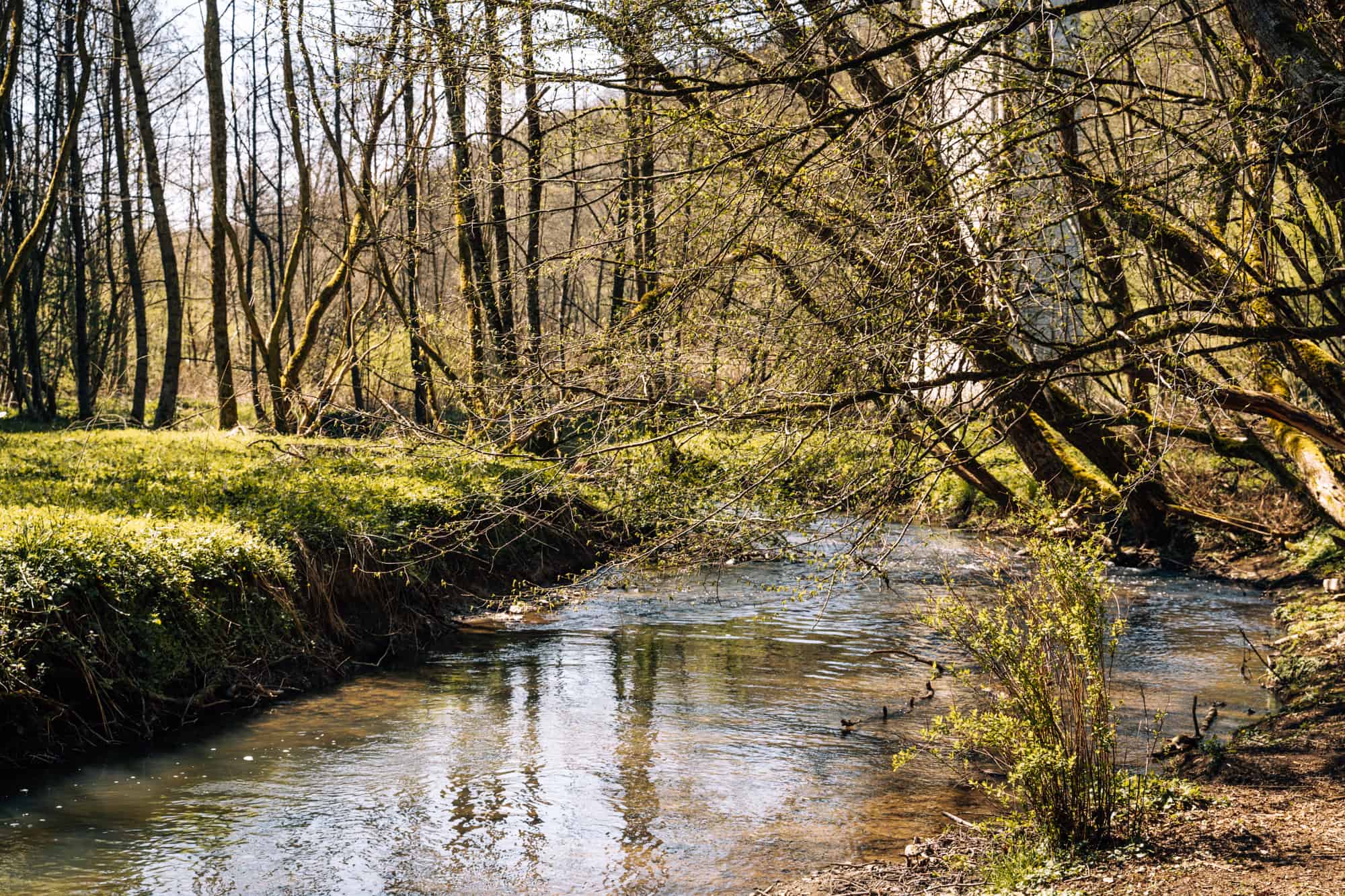 Wäller Pfoten Pfade & mehr: Wanderauszeit (mit Hund) im südlichen Westerwald im Hotel und Restaurant Freimühle