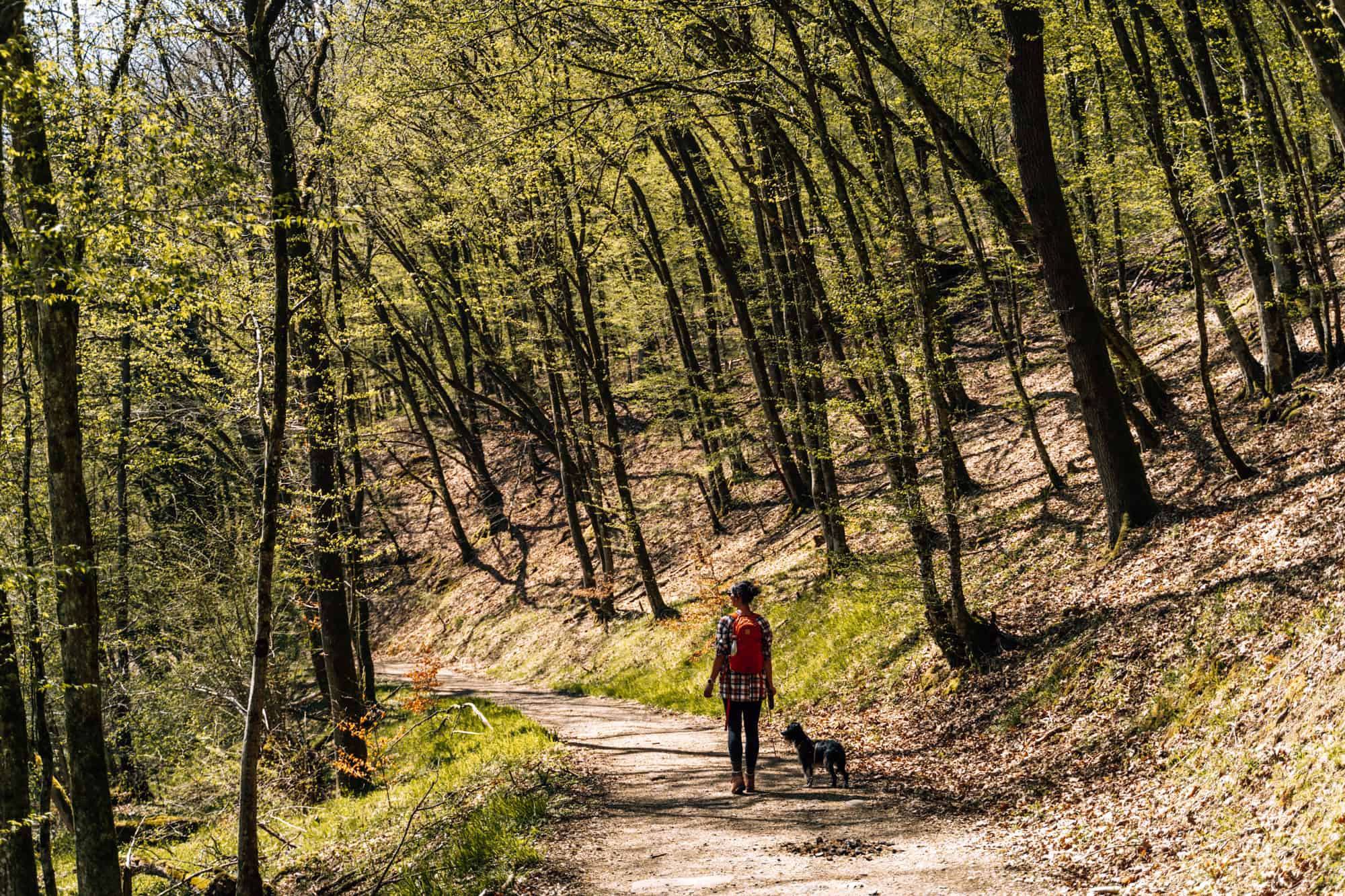 Wäller Pfoten Pfade & mehr: Wanderauszeit (mit Hund) im südlichen Westerwald im Hotel und Restaurant Freimühle