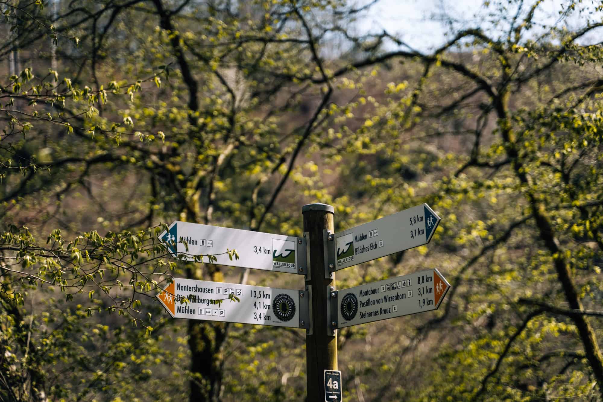 Wäller Pfoten Pfade & mehr: Wanderauszeit (mit Hund) im südlichen Westerwald im Hotel und Restaurant Freimühle