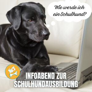 Infoabend: Wie wird mein Hund ein Schulhund?