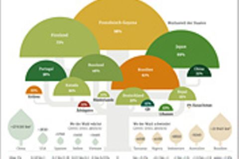 Weltspiel: Wie die Welt bewaldet ist