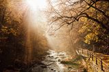 Wanderweg an der Bode