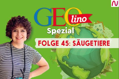 GEOlino Spezial - der Wissenspodcast: Folge 45: Säugetiere