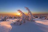 21.02.2022      "Winterlicher Sonnenaufgang auf dem Brocken im Nationalpark Harz."      Kamera: Canon Eos R