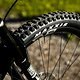 Mit DT Swiss XMC 1501 Carbon-Laufrädern, Maxxis-Bereifung …