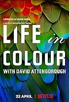 Das Leben in Farbe mit David Attenborough