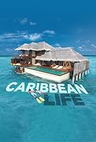 Caribbean Life (2014)