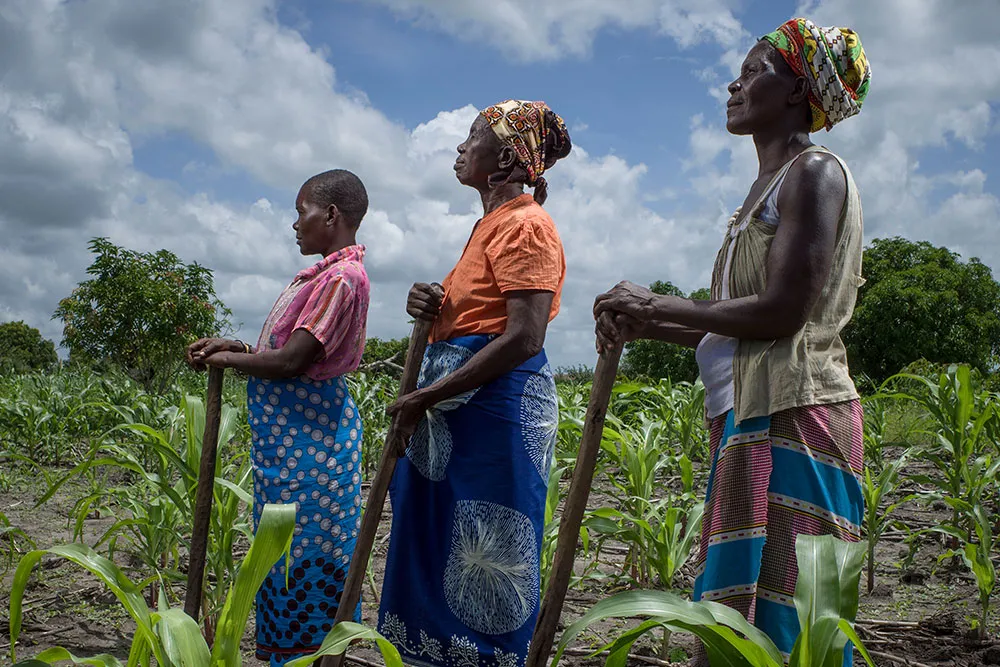 A side profile of three women standing in a row and standing tall while resting their hands on wooden farm tools. They are standing in a green field full of crops on a sunny day.