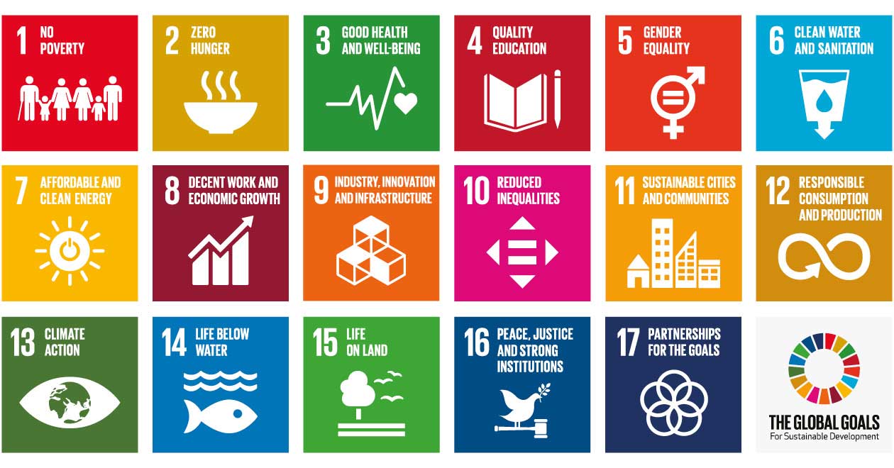 Implementing the UN’s Sustainable Development Goals: strengthening ...