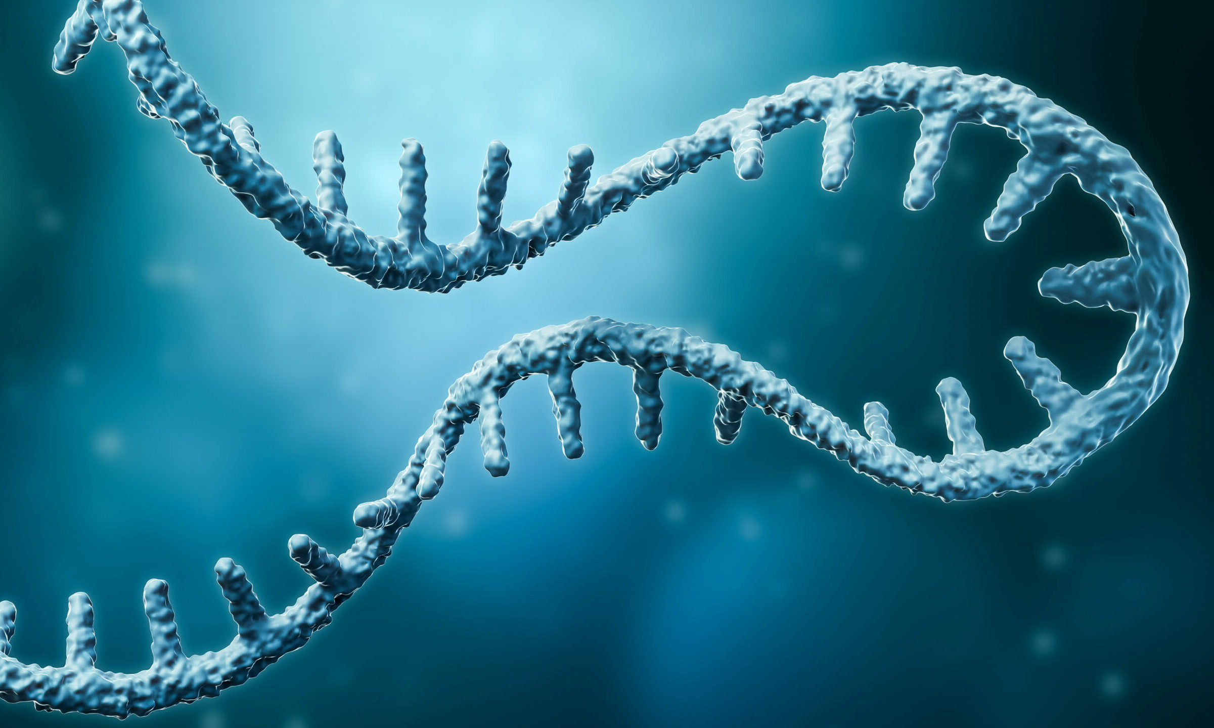 Messenger RNA or mRNA strand 3D rendering illustration with copy space. Genetics, science, medical research, genome replication concepts.