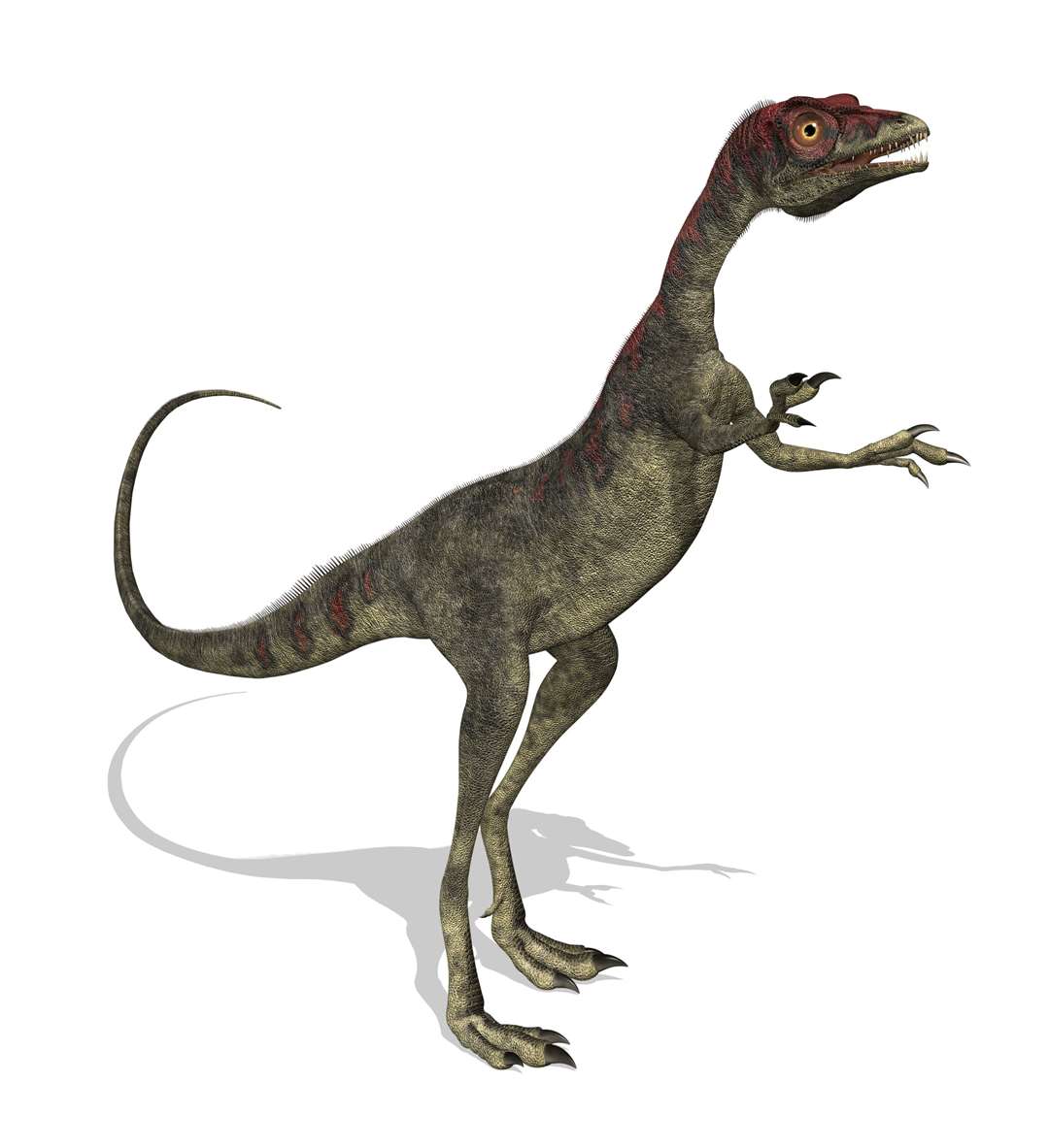 According to DinoDNA, a dinosaur like this could be recreated by the summer