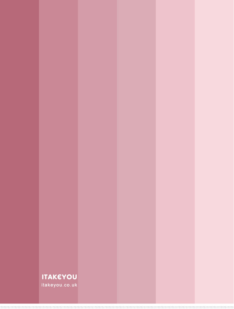 Pink Rose Colour Scheme | Shades of pink colour palette | Pink Combos