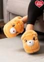 Adult's Tenderheart Care Bear Slippers