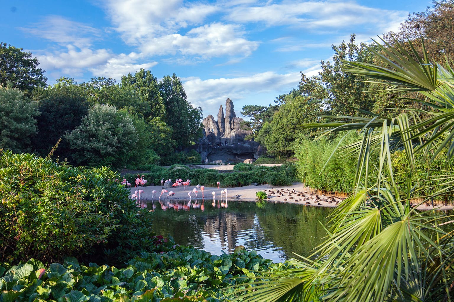 Een Afrikaans landschap in dierentuin Hagenbeck in het Duitse Hamburg