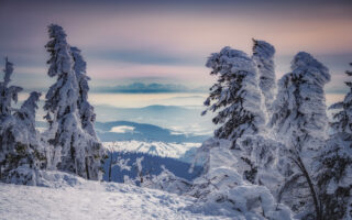 Winterlandschap op de berg Lusen in het Beierse woud