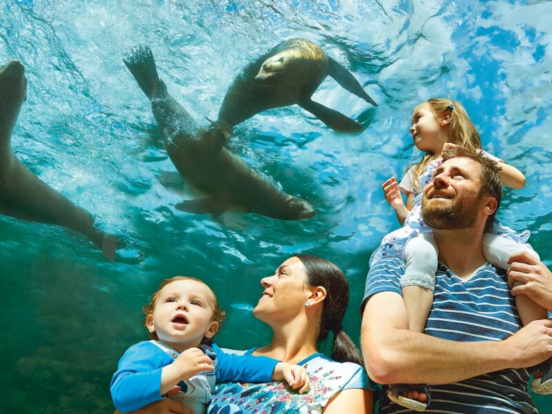 Een familie heeft plezier in Zoom erlebnispark in Gelsenkirchen