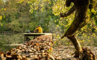 Herfst in de Platzs Altrhein Jockgrimm