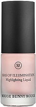 Rouge Bunny Rouge Seas Of Illumination Highlighting Liquid Light-Reflecting Face Emulsion