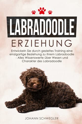 Labradoodle Erziehung