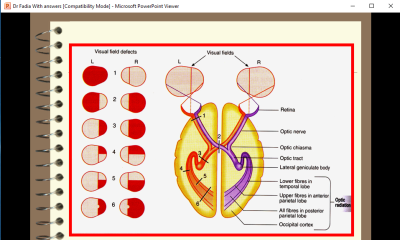 Microsoft PowerPoint Viewer Review