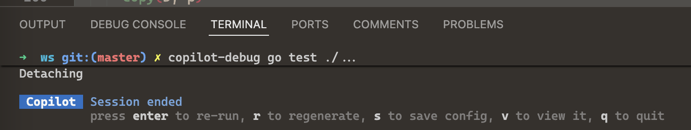 The terminal shows options to rerun, regenerate, save, or the launch config after a debugging session.