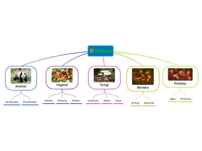 🍀Reinos - Mapa Mental