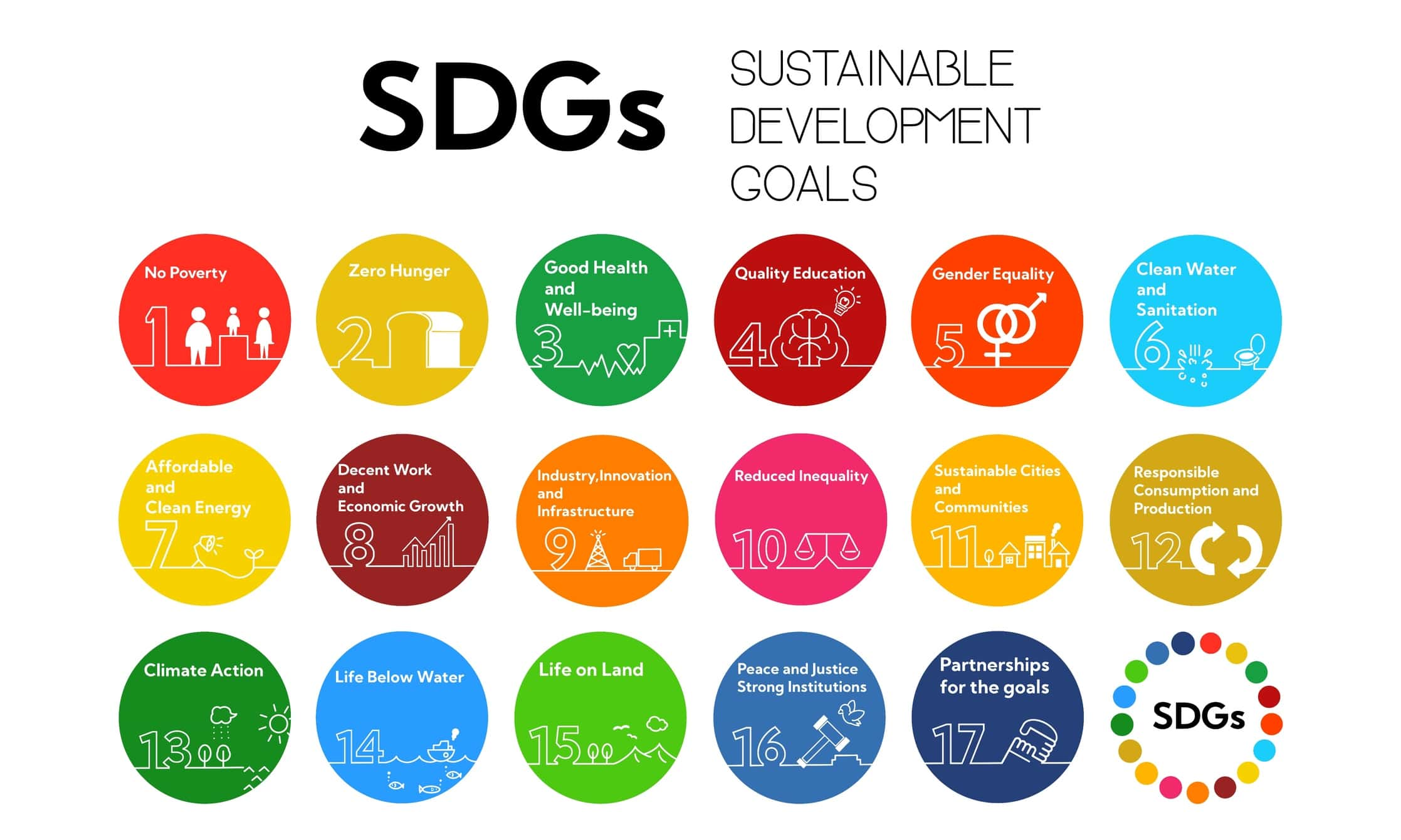 What are the United Nations Sustainable Development Goals?