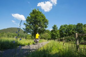 Radtouren, Fahrradfahren in der Westpfalz