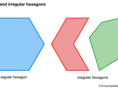 regular and irregular hexagons