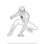 How to Draw Spiderman