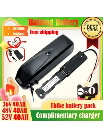 Original 48V 36V 52V 20AH Hailong ebike Battery 40AH BMS for 350W 500W 750W 1000W Motor and duty-free gift charger