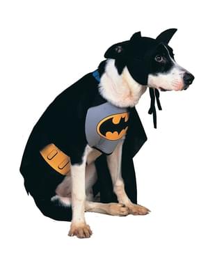 Dogs Batman jacket