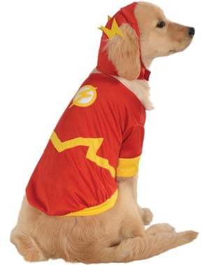 Childrens Flash DC Comics costume