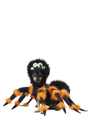 Dog's Terrifying Spider Costume