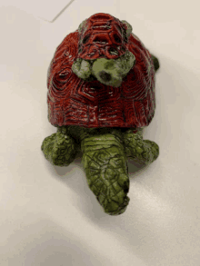 a green and red turtle with a red shell on top of it