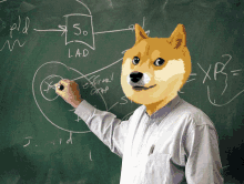 a man with a doge face draws on a chalkboard