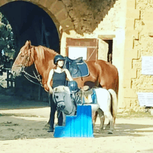 a woman standing next to a horse wearing a black tank top