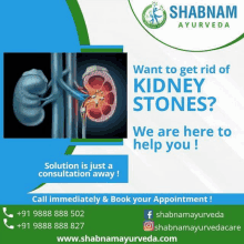 an advertisement for shabnam ayurveda shows a kidney with stones