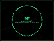 a black background with a green circle with the words blackparadigma