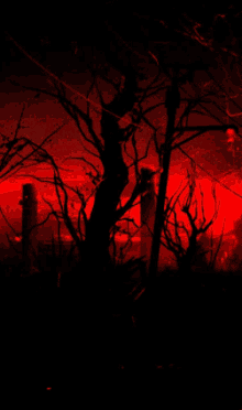 a dark forest with trees and a red light in the background .