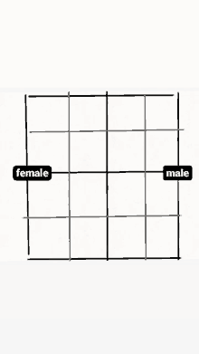 a black and white drawing of a grid with the words female and male .