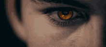 a close up of a man 's eye with a yellow iris